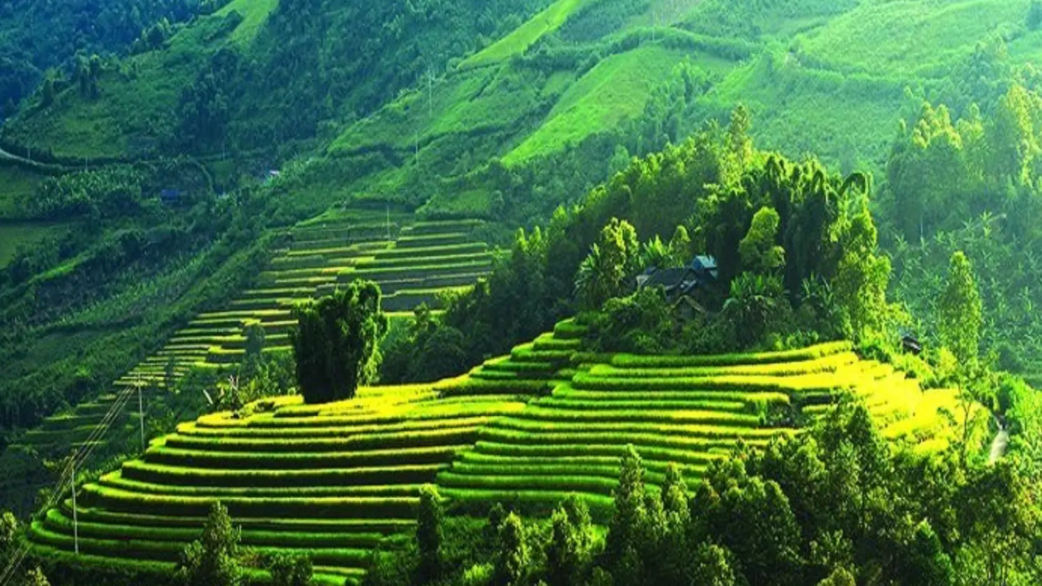 Du lịch Mộc Châu – Động lực tăng trưởng mới của Sơn La